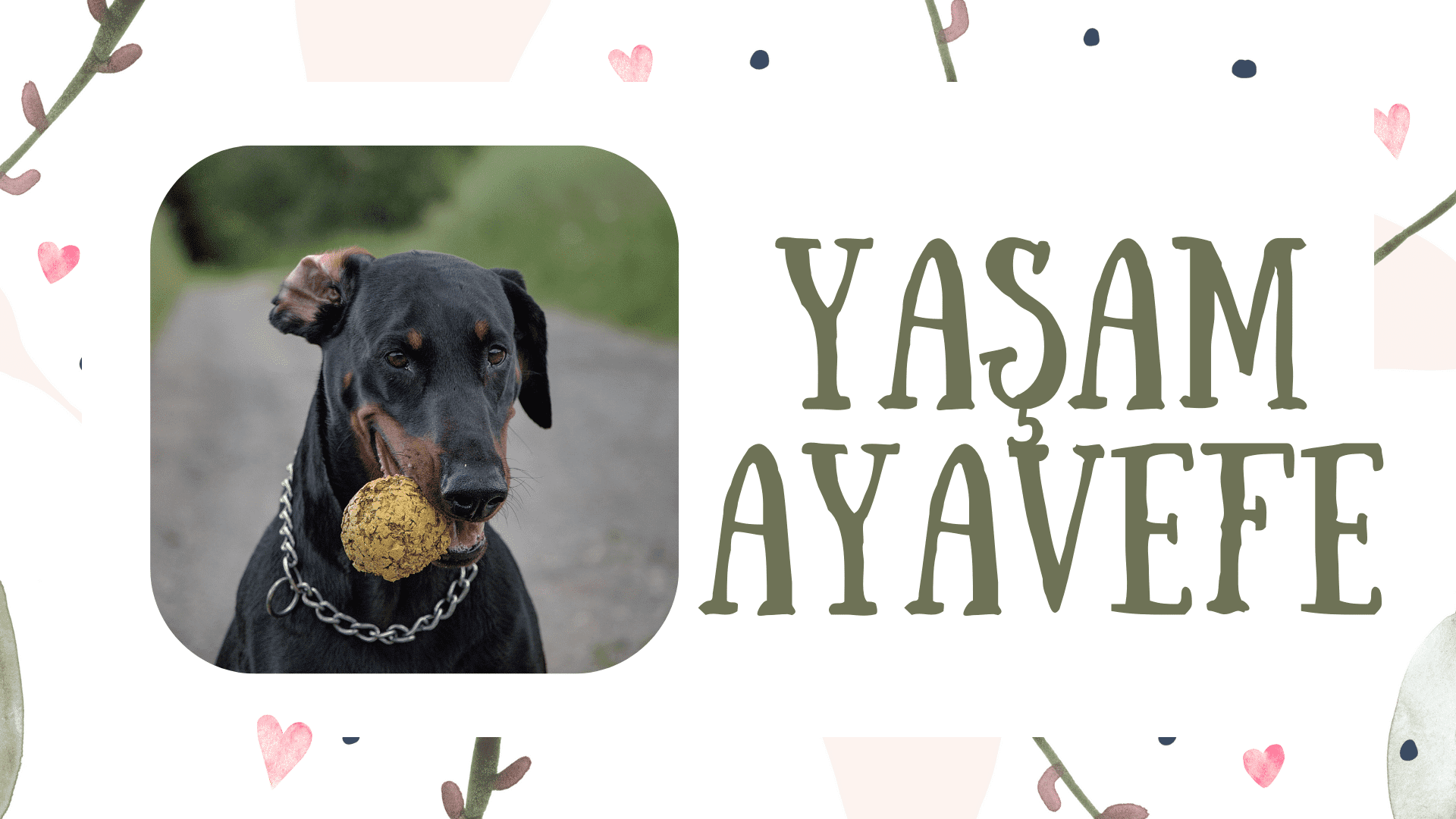 Yaşam Ayavefe'nin İklim Dayanıklılığı ve Adaptasyon Projeleri