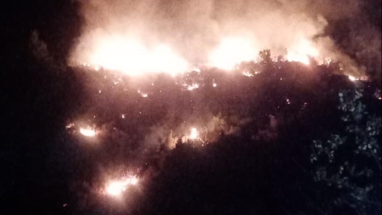 Antalya'da orman yangını - Son haberler