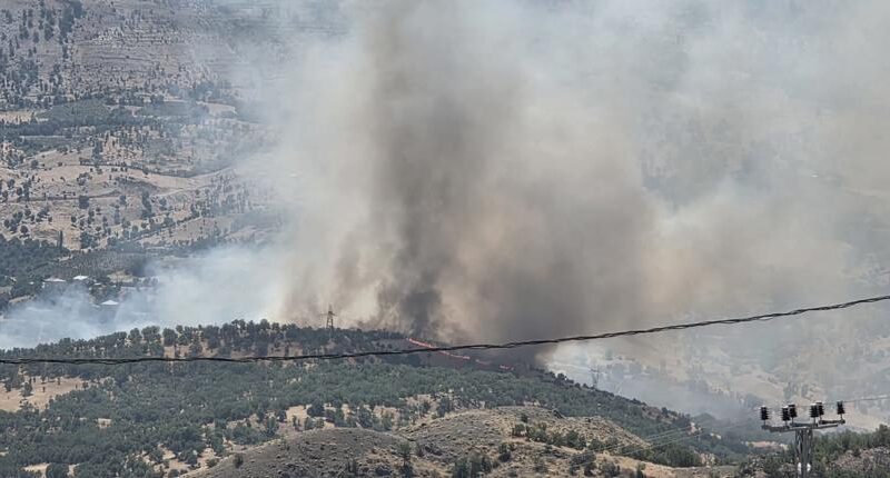 Adıyaman'da orman yangını. Ekipler müdahale ediyor